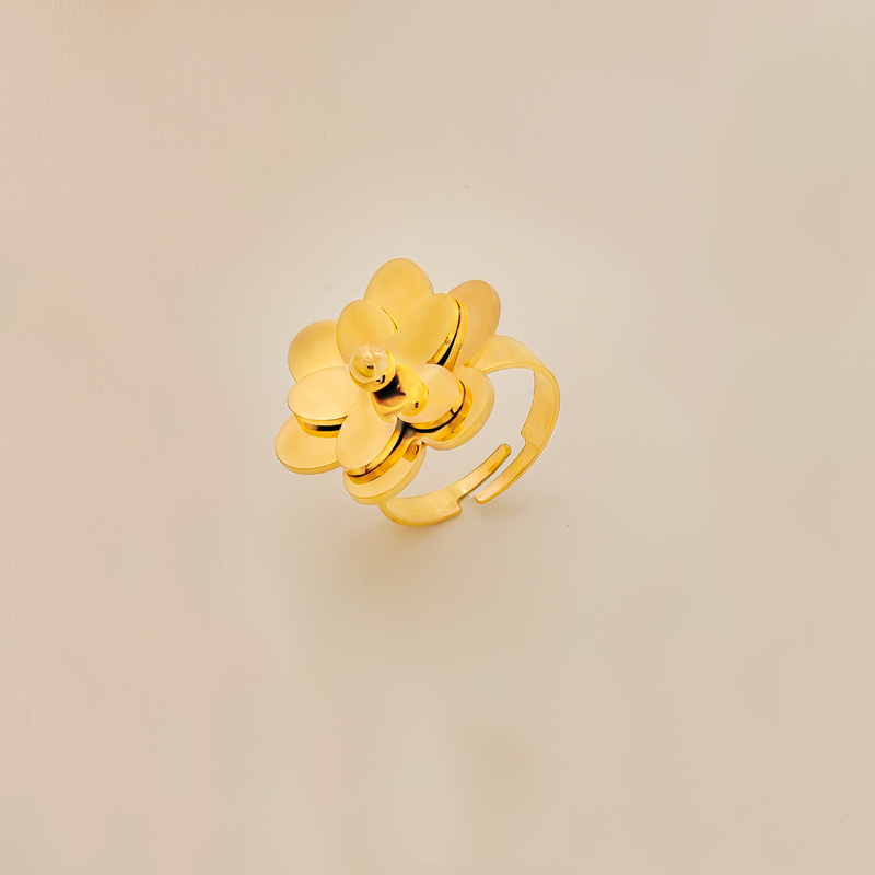 Anillo Ajustable En Acero