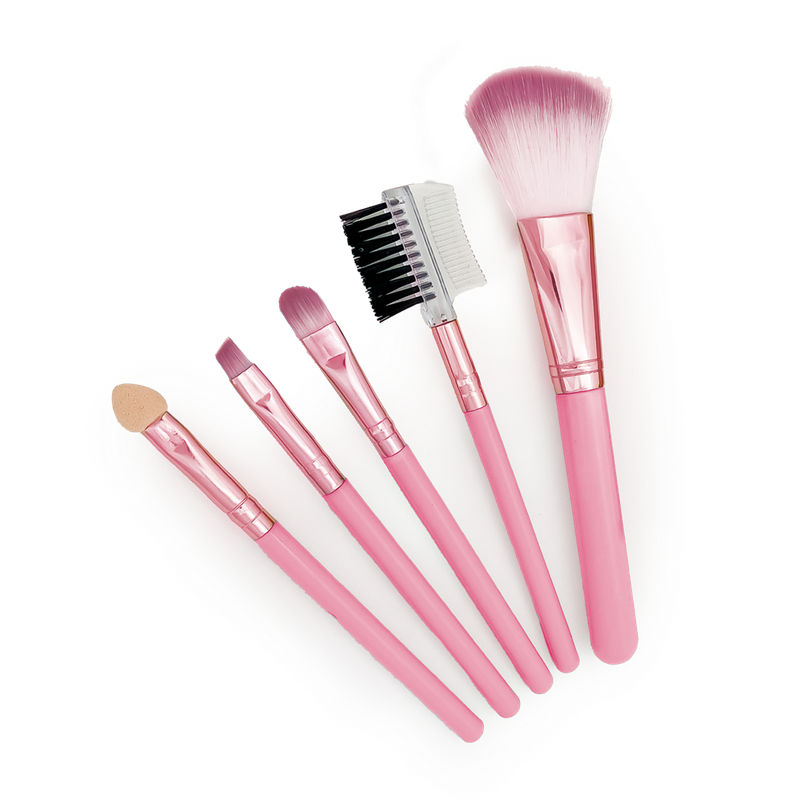 Juego De Brochas Y Pinceles X5