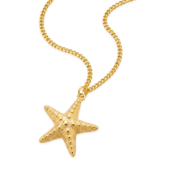 Collar Dorado Estrella