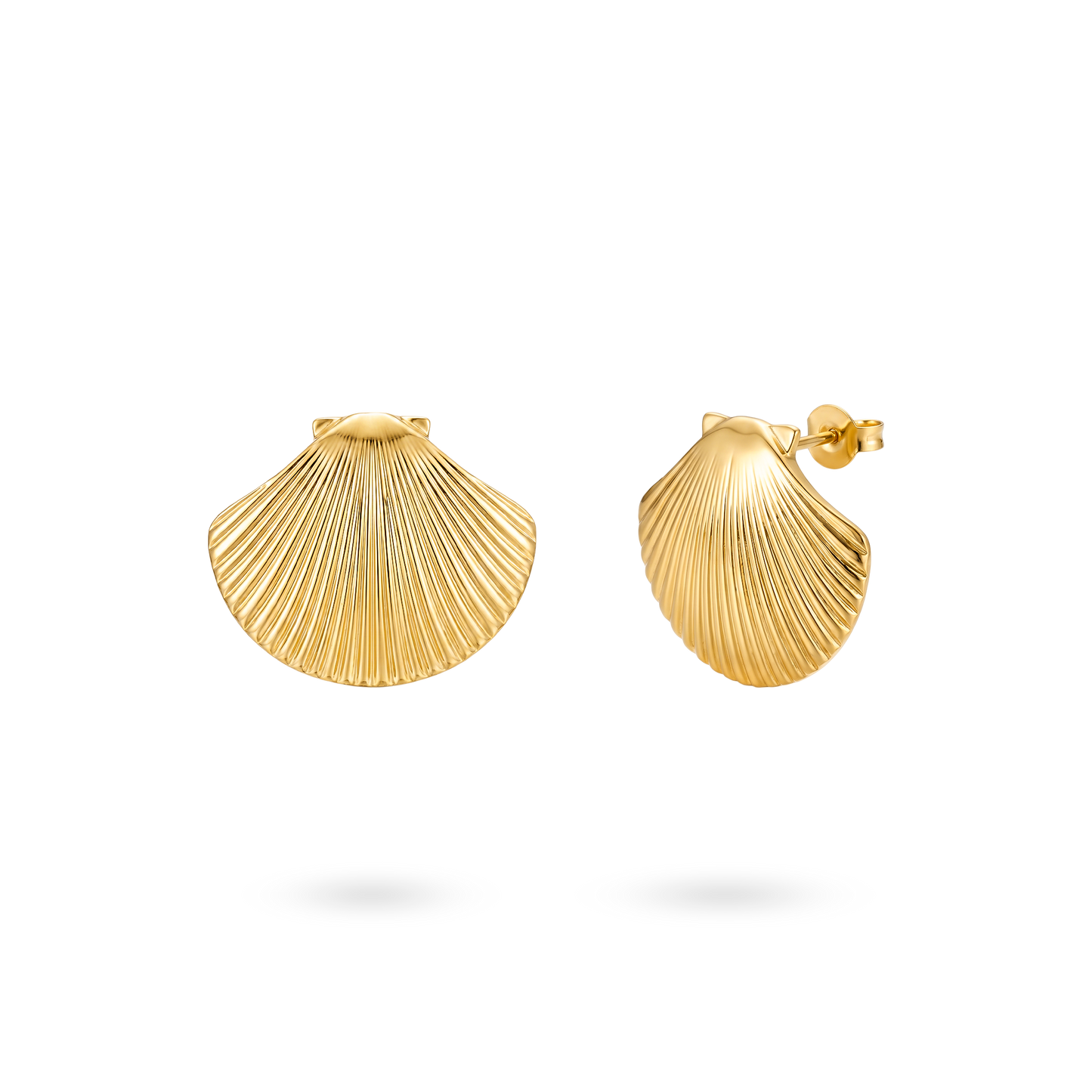 Topos Dorado Conchas
