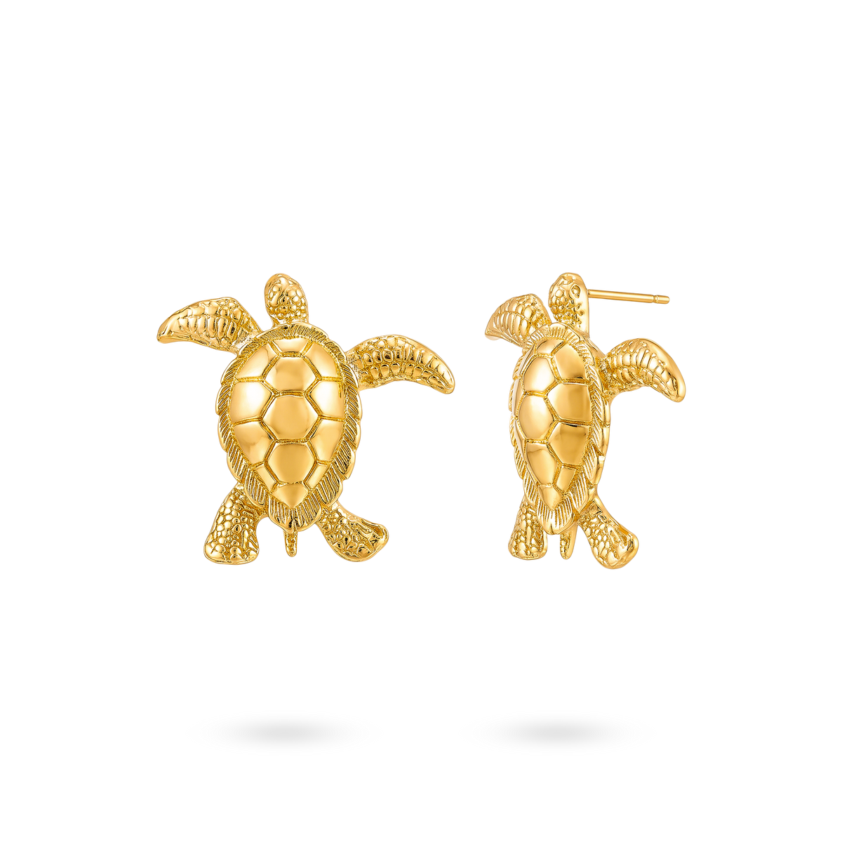 Topos Dorados Tortuga